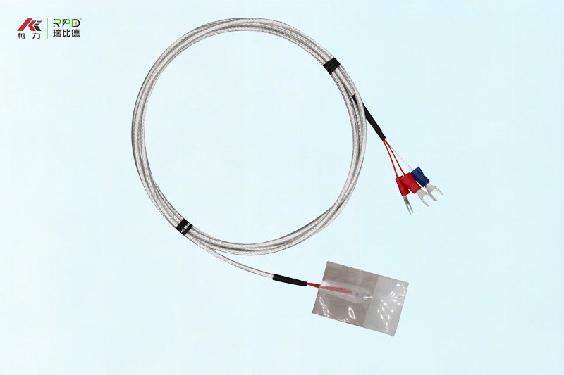 patch-type PT100 temperature probe - Image 2