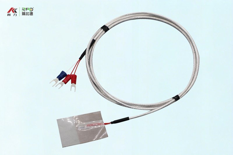 patch-type PT100 temperature probe - Image 4