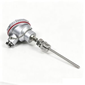 PT100 RTD Temperature Sensor Probe, Explosion‑Proof Junction Box, Thread Mount Stainless Steel Temperature Transmitter